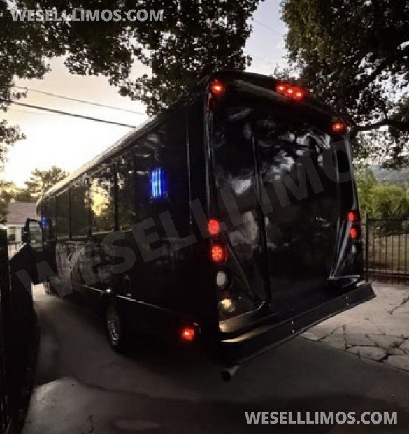2017  Tiffany Ford E450 Limo Bus