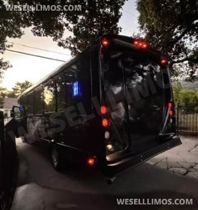 2017  Tiffany Ford E450 Limo Bus