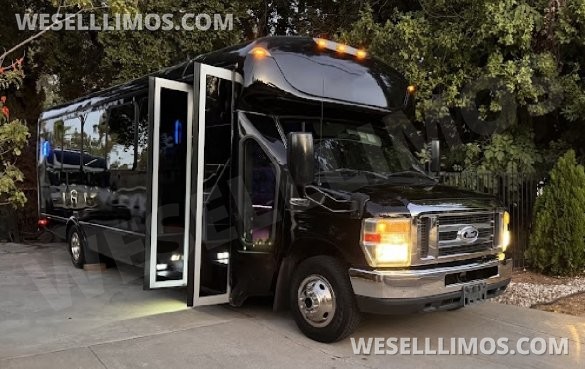 2017  Tiffany Ford E450 Limo Bus