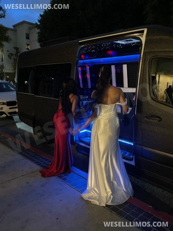 2020 Mercedes-Benz Sprinter Limo Bus
