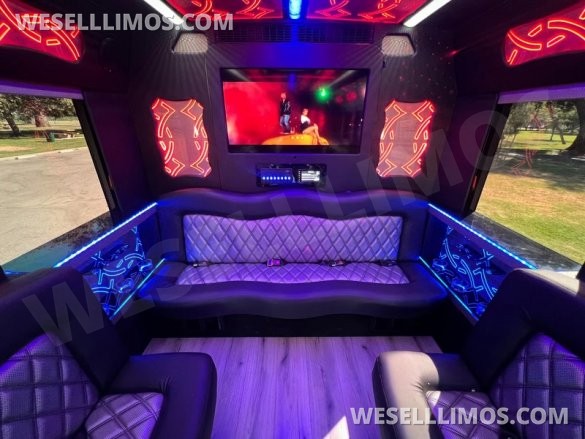 2017 Ford E450 Limo Bus