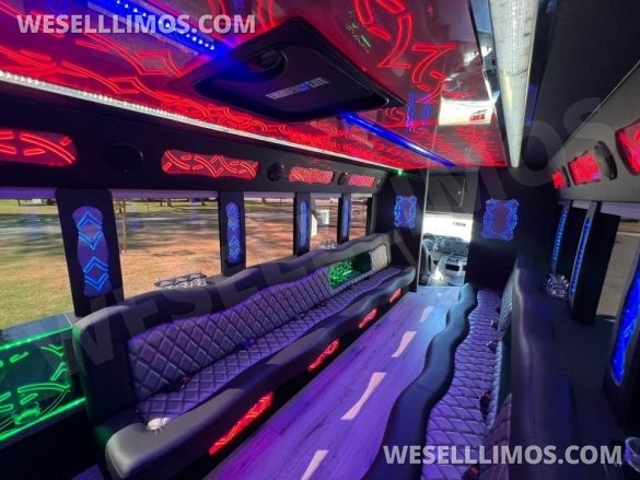 2017 Ford E450 Limo Bus