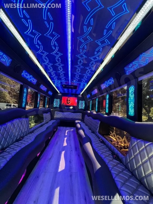 2017 Ford E450 Limo Bus