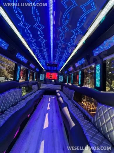 2017 Ford E450 Limo Bus