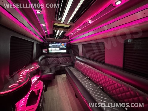 2021 SPV Conversion Mercedes-Benz Limo Sprinter Sprinter