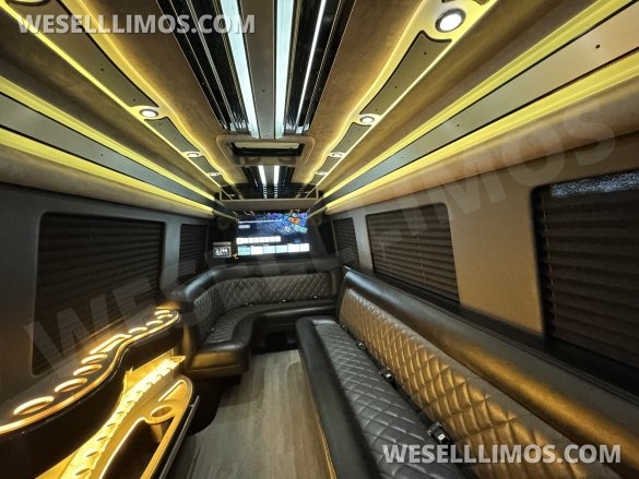 2021 SPV Conversion Mercedes-Benz Limo Sprinter Sprinter