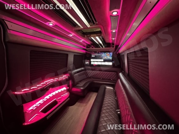 2021 SPV Conversion Mercedes-Benz Limo Sprinter Sprinter