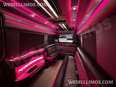 2021 SPV Conversion Mercedes-Benz Limo Sprinter Sprinter