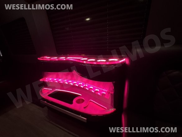 2021 SPV Conversion Mercedes-Benz Limo Sprinter Sprinter