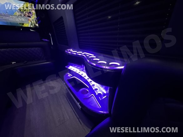 2021 SPV Conversion Mercedes-Benz Limo Sprinter Sprinter