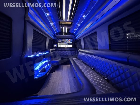 2021 SPV Conversion Mercedes-Benz Limo Sprinter Sprinter