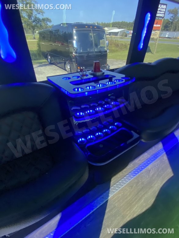 2013 Platinum Big Toys  Temsa TS 30 Limo Bus