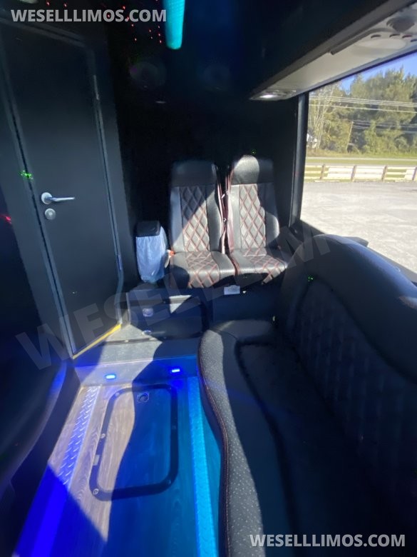 2013 Platinum Big Toys  Temsa TS 30 Limo Bus