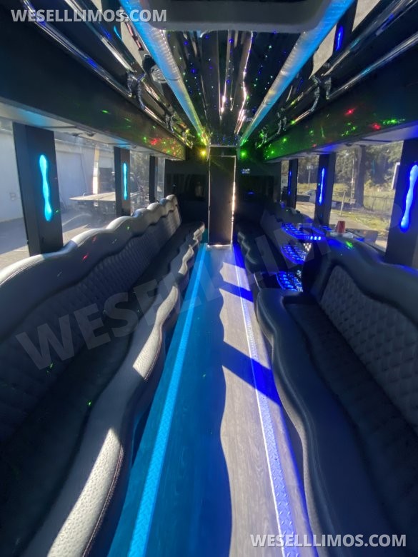 2013 Platinum Big Toys  Temsa TS 30 Limo Bus