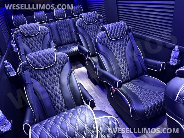2023 AWD 12 Passenger Dreamliner Auto Elite Mercedes-Benz Sprinter