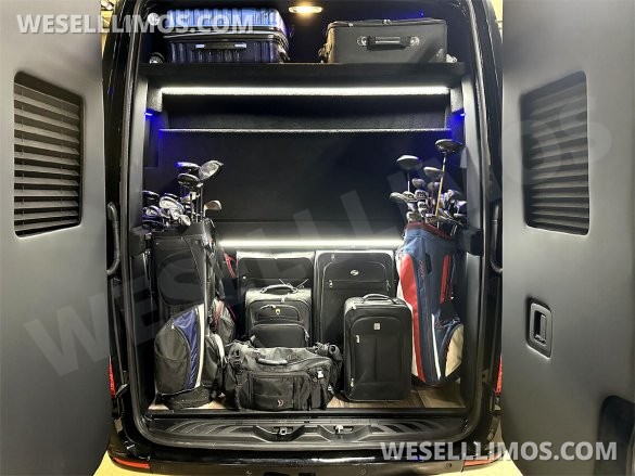 2023 AWD 12 Passenger Dreamliner Auto Elite Mercedes-Benz Sprinter