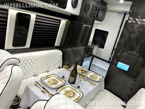 2025 Eco Revolution Limousine AMG Trim Auto Elite Mercedes-Benz Sprinter Heat/Massage Seats