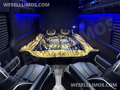 2024 Elite Cruiser w/ Removable Bathroom 12 Passenger Auto Elite Mercedes-Benz Sprinter