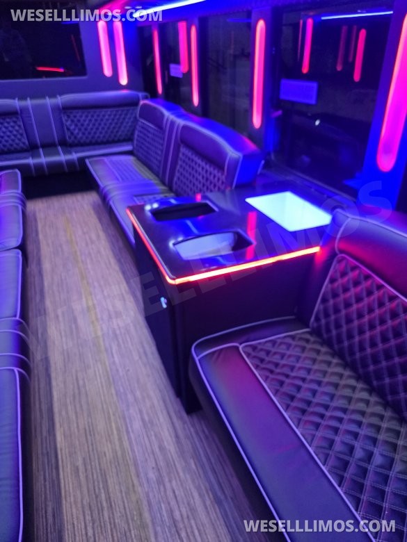 2013 International Limo Bus 28 Passenger Limobus