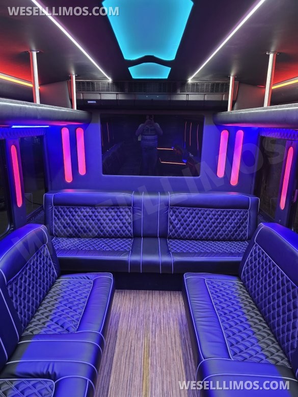 2013 International Limo Bus 28 Passenger Limobus