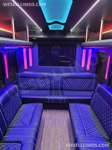 2013 International Limo Bus 28 Passenger Limobus
