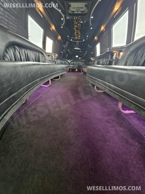 2004 Krystal  International 3200 DT530 Limo Bus