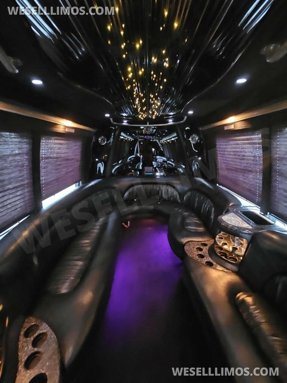 2004 Krystal  International 3200 DT530 Limo Bus