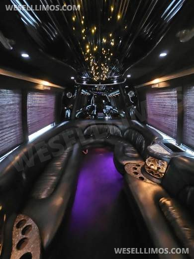 2004 Krystal  International 3200 DT530 Limo Bus