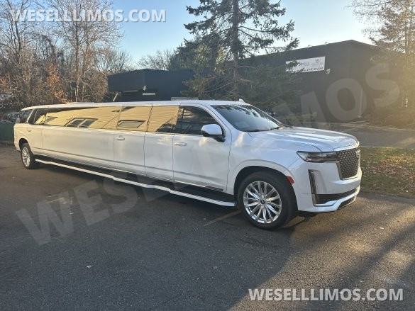 2022 Moonlight  Cadillac Escalade 200” Limousine