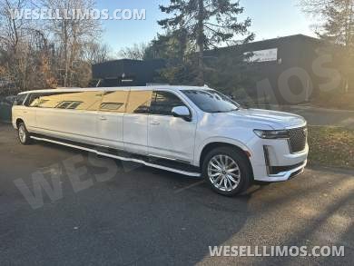 2022 Moonlight  Cadillac Escalade 200” Limousine