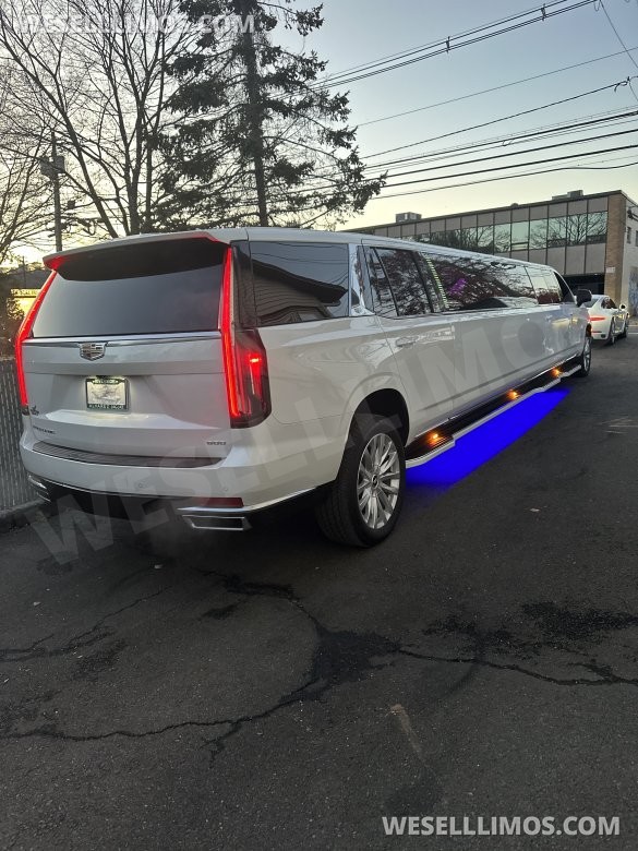 2022 Moonlight  Cadillac Escalade 200” Limousine