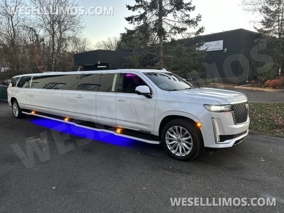 2022 Moonlight  Cadillac Escalade 200” Limousine
