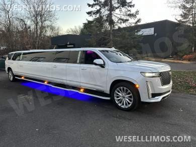 2022 Moonlight  Cadillac Escalade 200” Limousine
