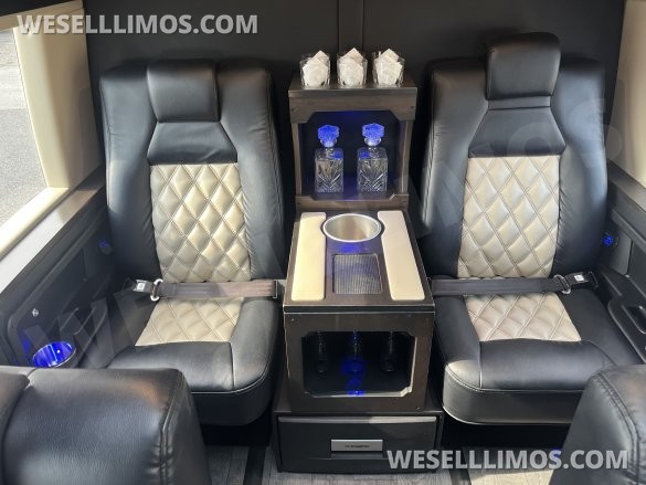 2019 L.A. West Mercedes-Benz Sprinter  Sprinter for sale