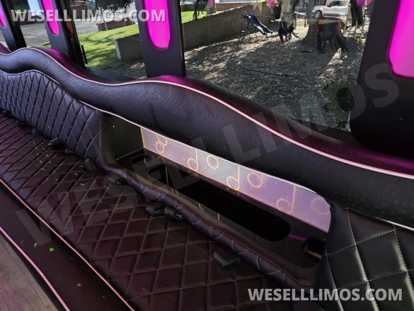 2014 Starcraft  Ford F550  Limo Bus