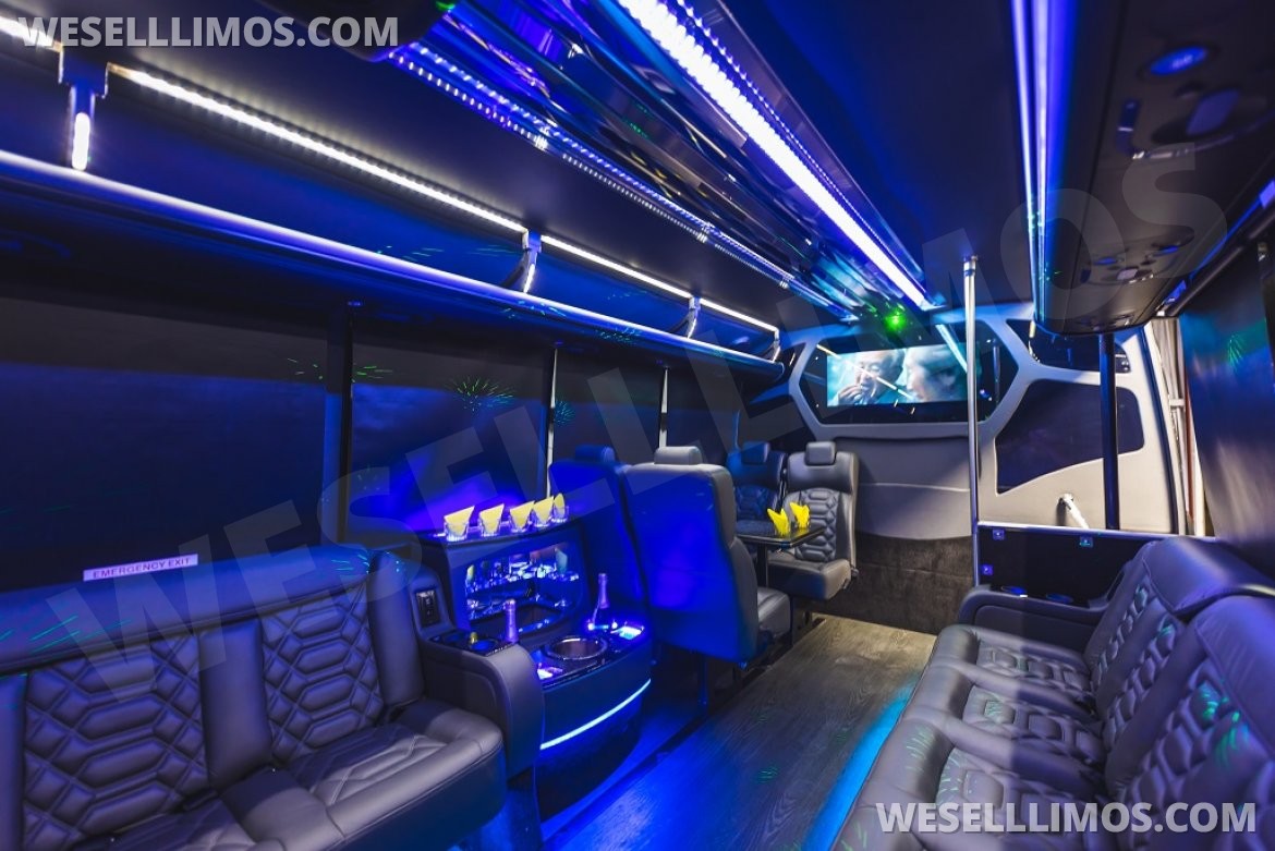 Photo of Limo Bus for sale: 2016 Ford F450 by Grech