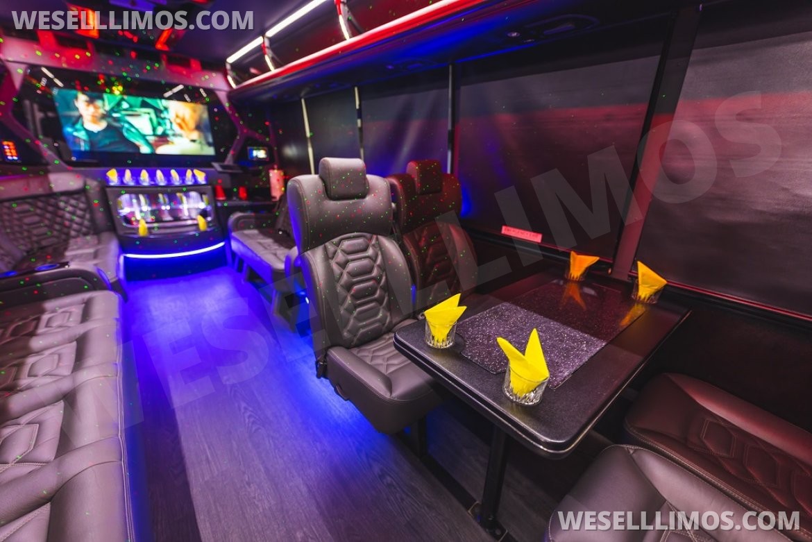 Photo of Limo Bus for sale: 2016 Ford F450 by Grech