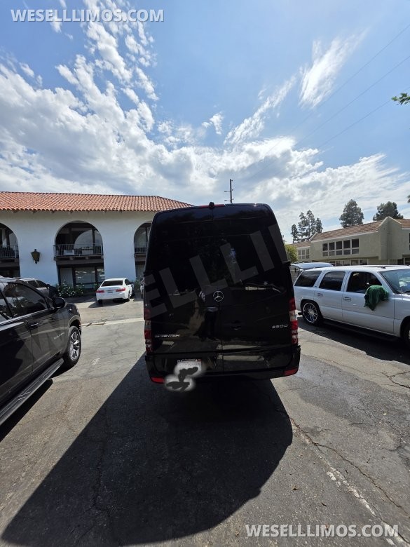 2017 American Limousine Sales Mercedes-Benz Sprinter 3500 Sprinter