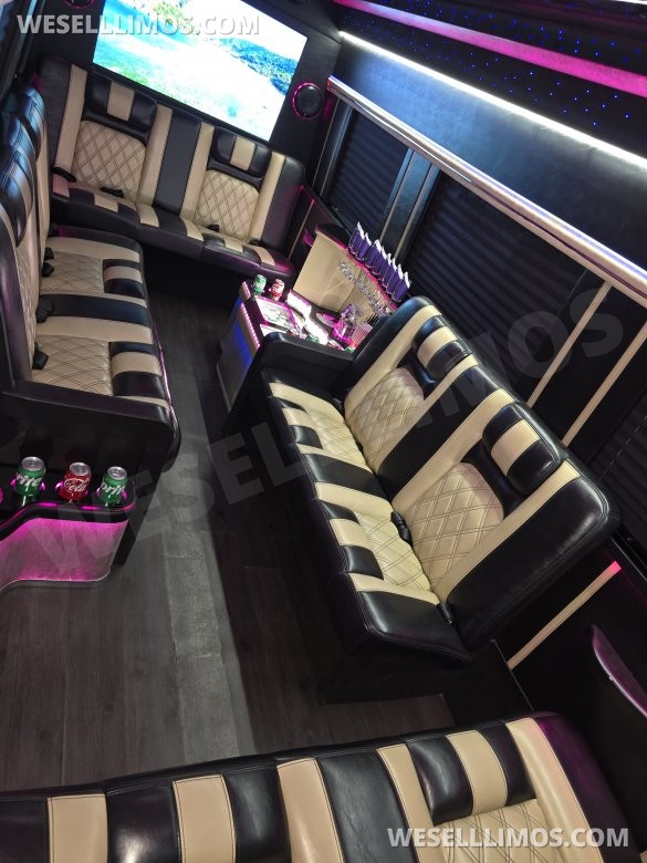 2017 American Limousine Sales Mercedes-Benz Sprinter 3500 Sprinter