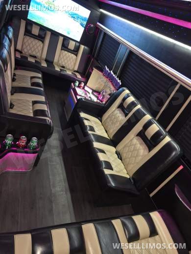 2017 American Limousine Sales Mercedes-Benz Sprinter 3500 Sprinter