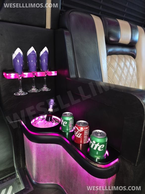 2017 American Limousine Sales Mercedes-Benz Sprinter 3500 Sprinter