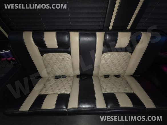 2017 American Limousine Sales Mercedes-Benz Sprinter 3500 Sprinter
