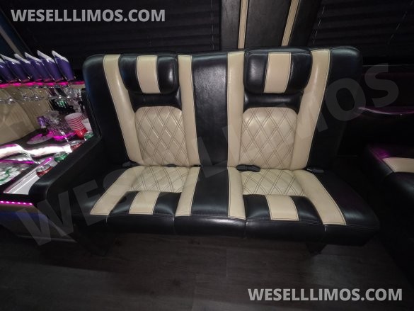 2017 American Limousine Sales Mercedes-Benz Sprinter 3500 Sprinter