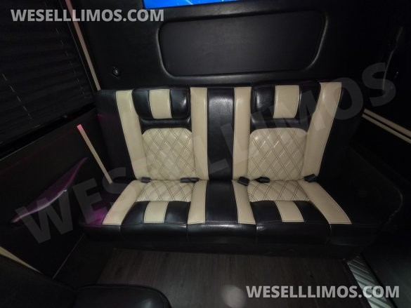 2017 American Limousine Sales Mercedes-Benz Sprinter 3500 Sprinter