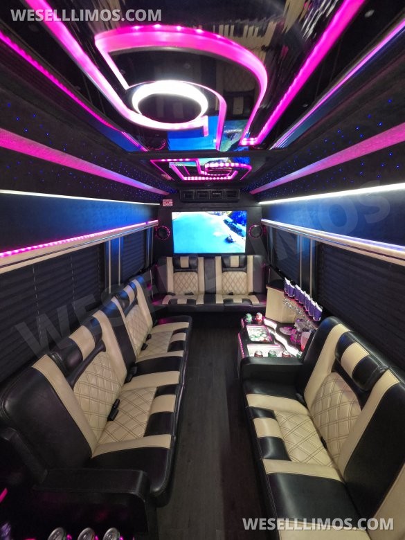 2017 American Limousine Sales Mercedes-Benz Sprinter 3500 Sprinter