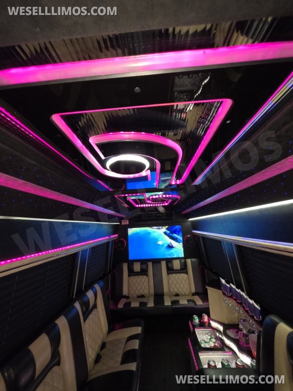 2017 American Limousine Sales Mercedes-Benz Sprinter 3500 Sprinter