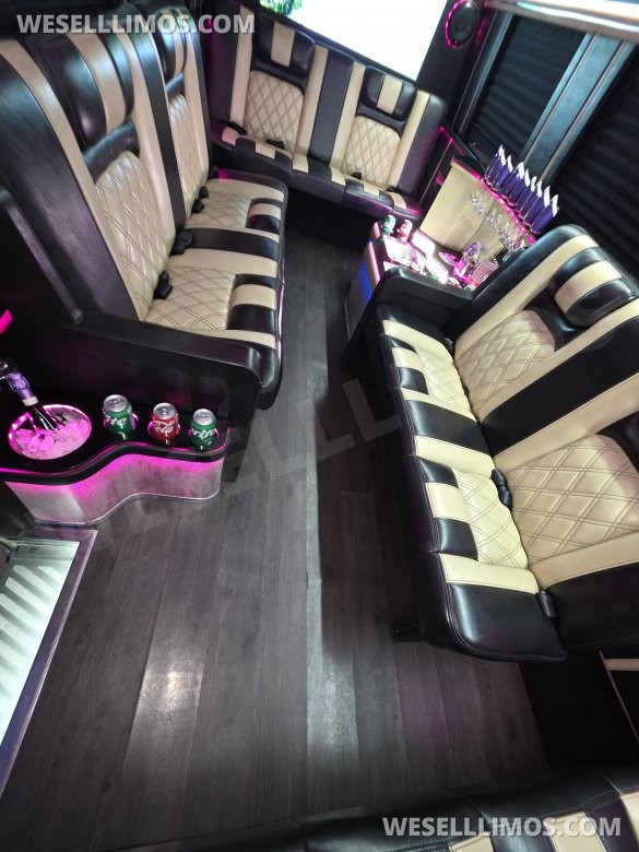 2017 American Limousine Sales Mercedes-Benz Sprinter 3500 Sprinter