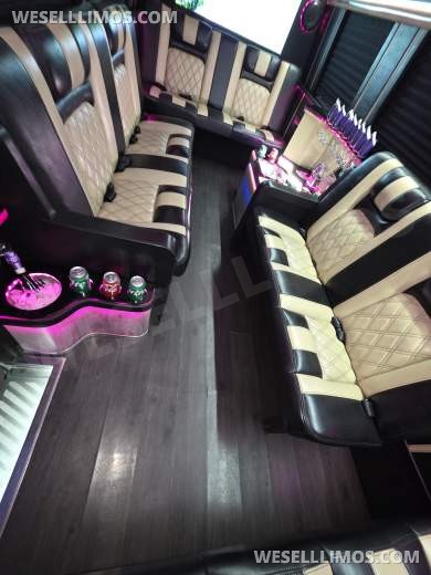 2017 American Limousine Sales Mercedes-Benz Sprinter 3500 Sprinter