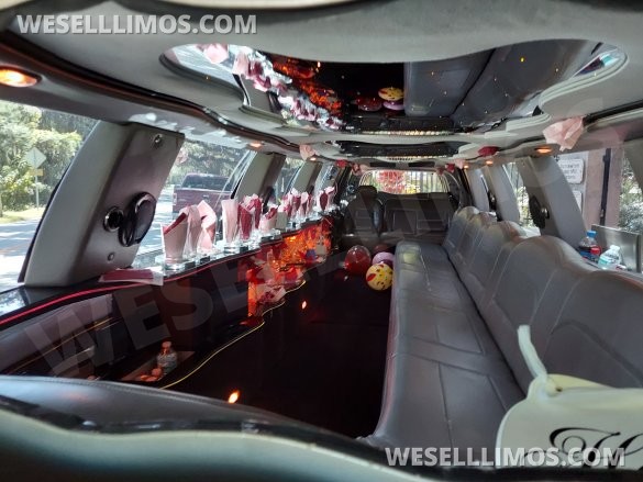Ultra Stretch S.U.V 18-Passenger Lincoln Navigator Limousine