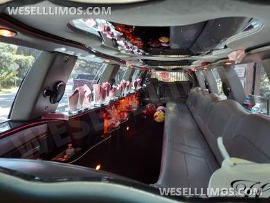 Ultra Stretch S.U.V 18-Passenger Lincoln Navigator Limousine